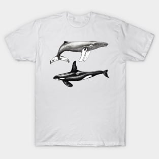 Orca and humpback whale T-Shirt